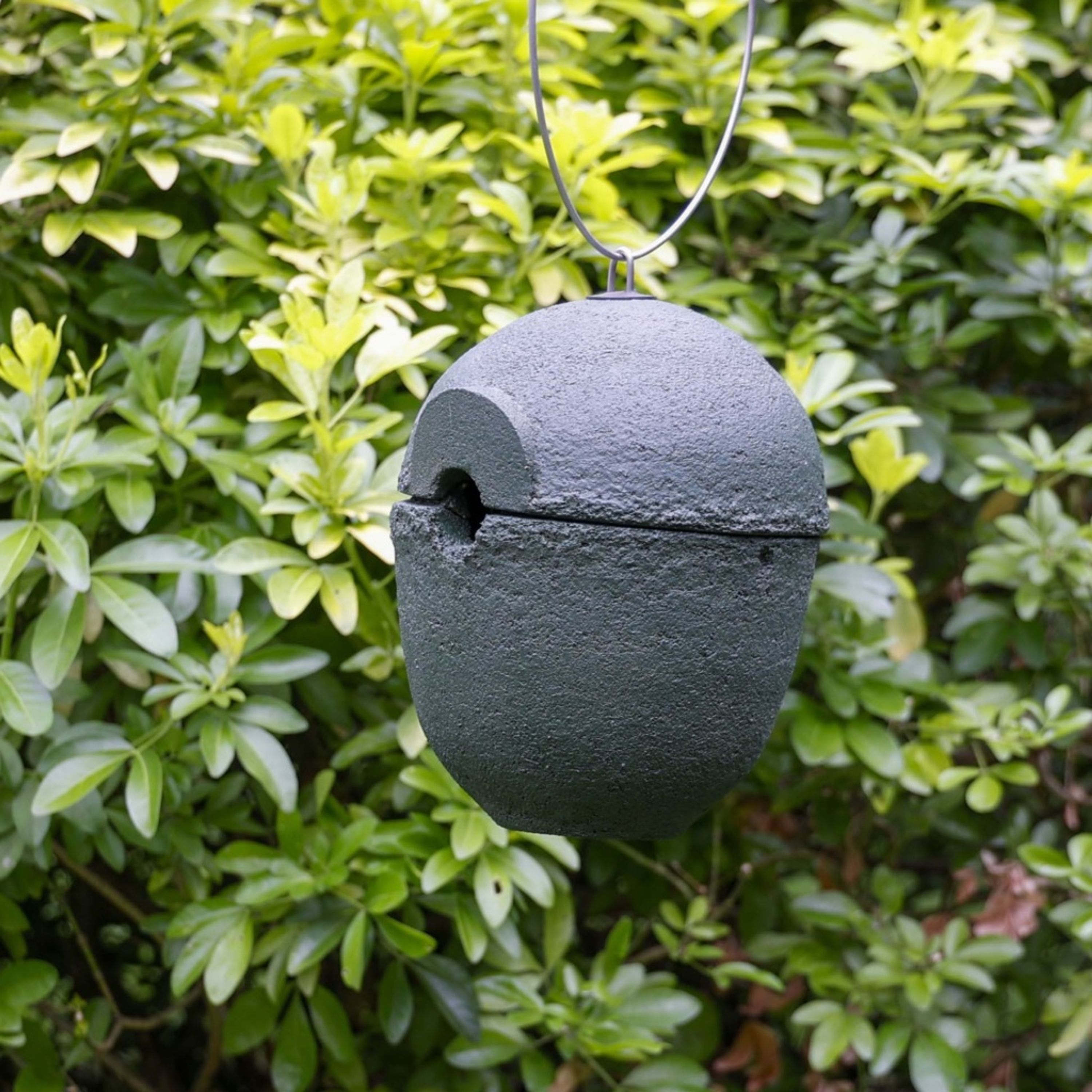 WoodStone-Nistkasten „Malaga“ 28 mm grün | Vogelhaus Holzbeton | CJ Wildlife